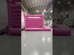 Roze uitsmijter 1035